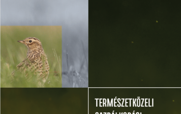 Gazdálkodás Natura 2000 gyepeken borító