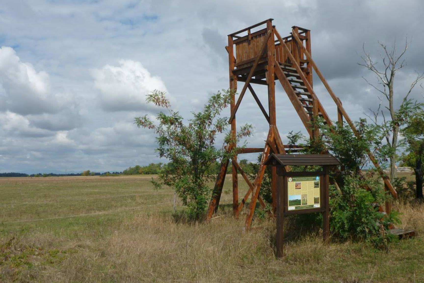 Betekintő torony a Hamvajárás-dűlőben (KE-2)