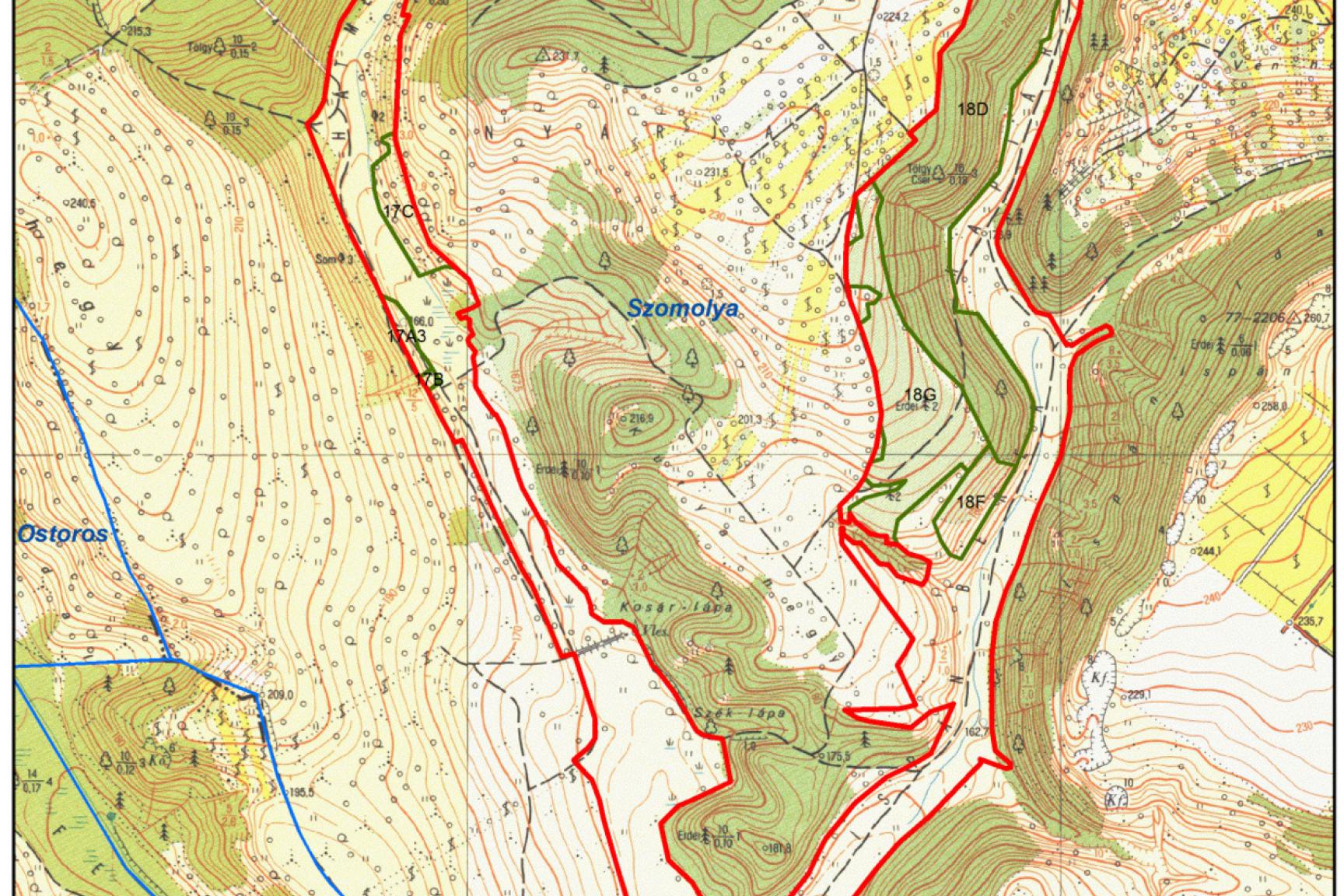 4. ábra: A tervezési terület erdészeti térképe