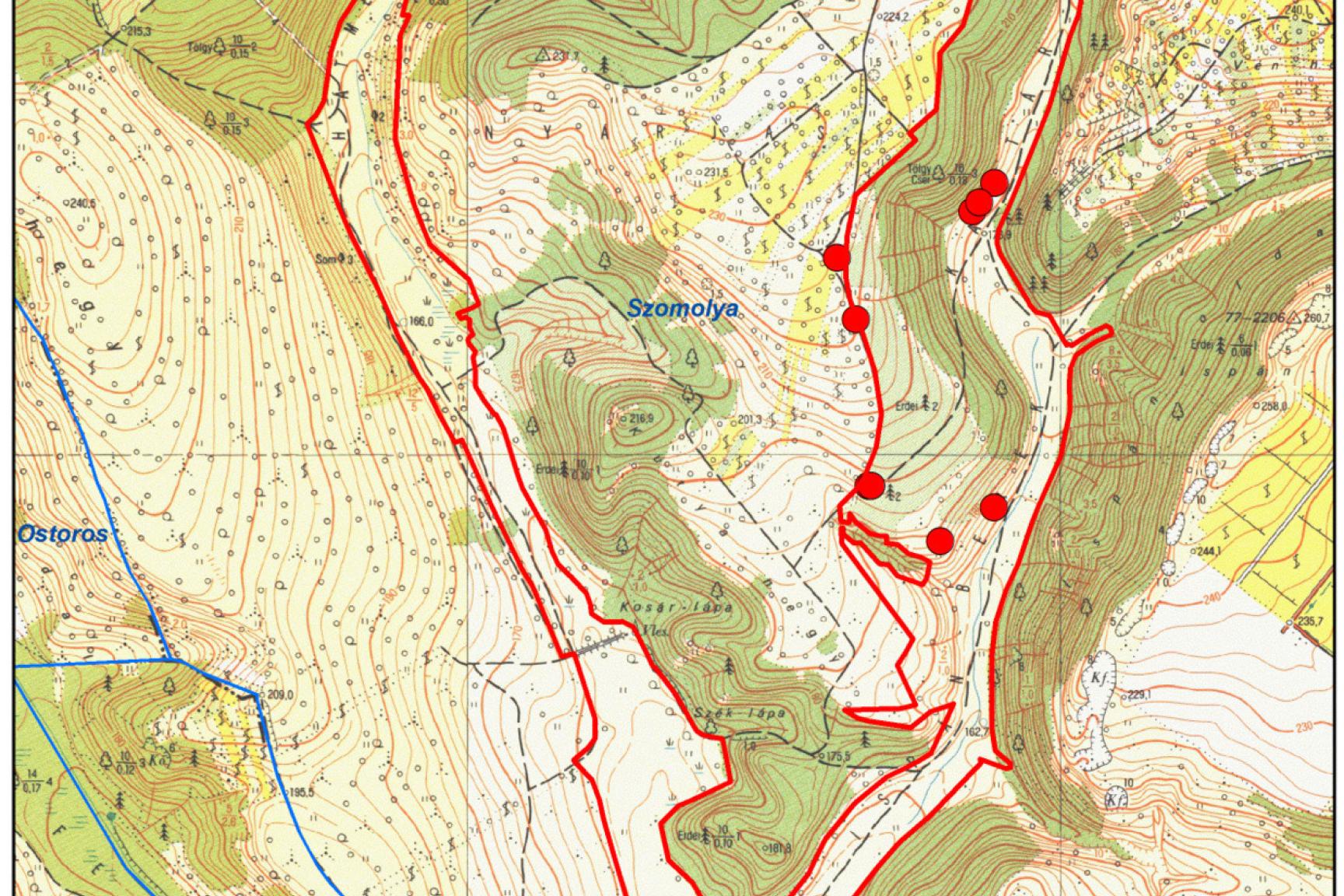 8. ábra: Közösségi jelentőségű növényfajok térképe I. (piros kígyószisz)
