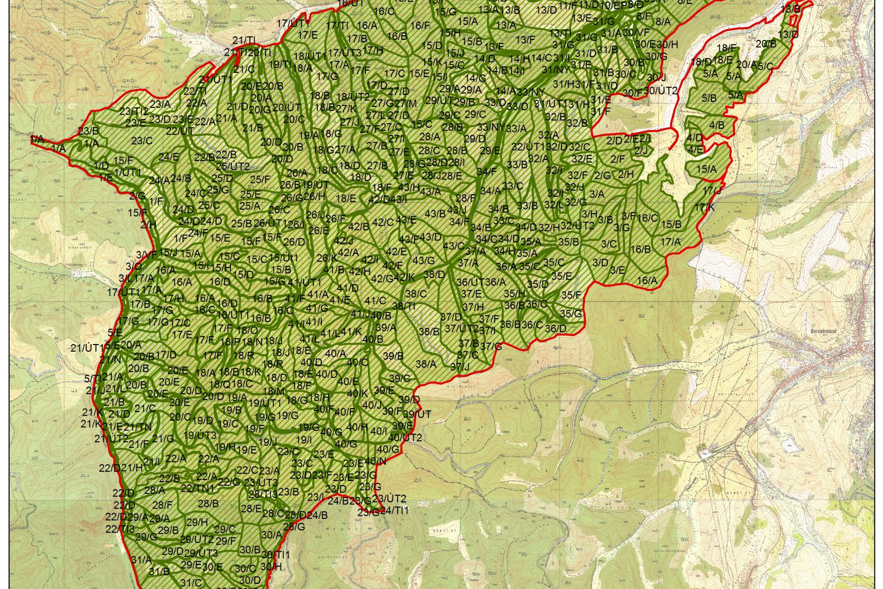 4. ábra: A tervezési terület erdészeti térképe