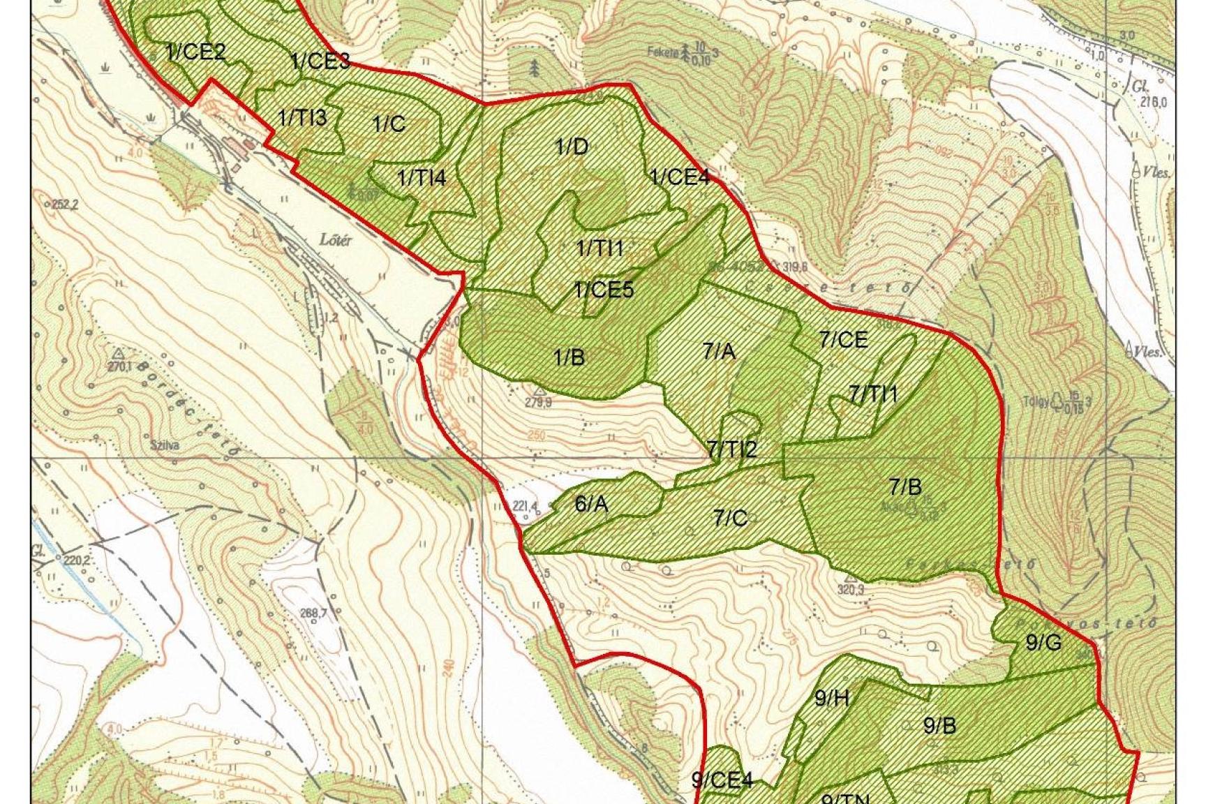 4. A tervezési terület erdészeti térképe