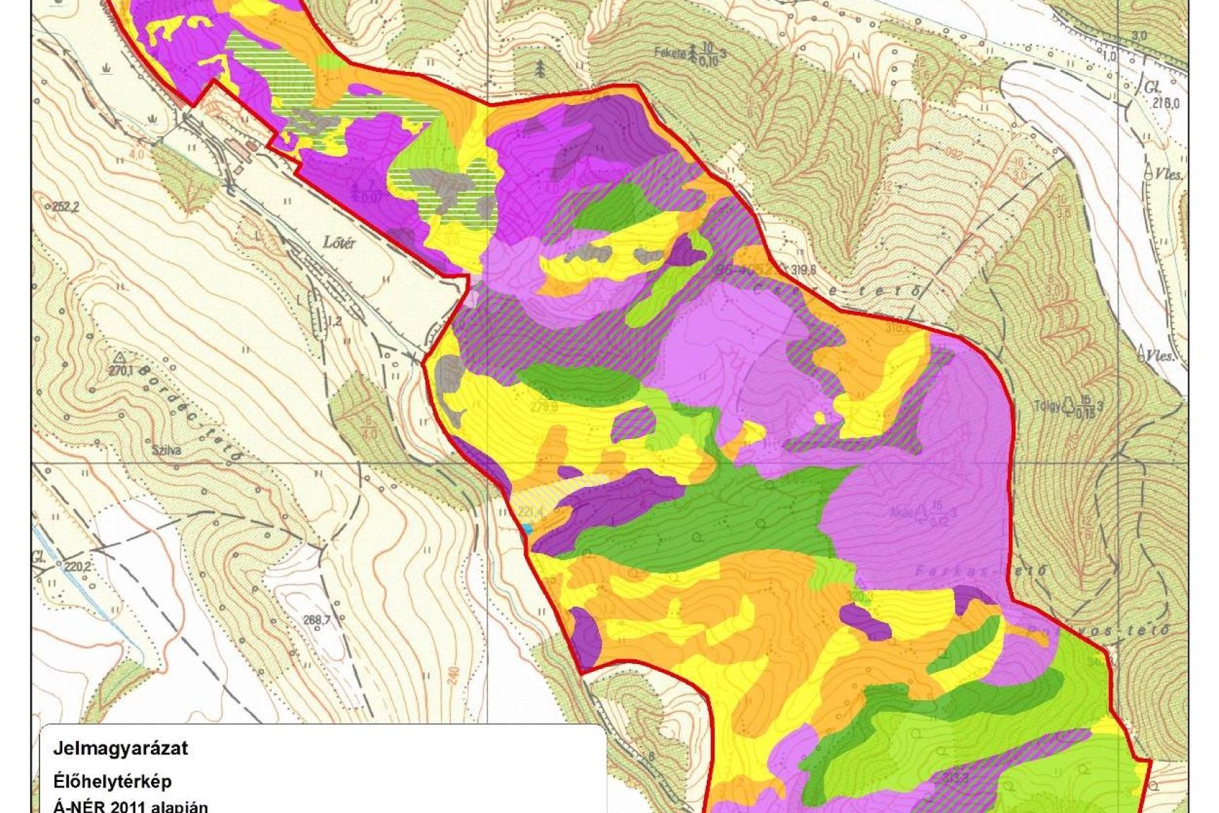 6. A tervezési terület élőhelytérképe (Á-NÉR 2011 alapján)
