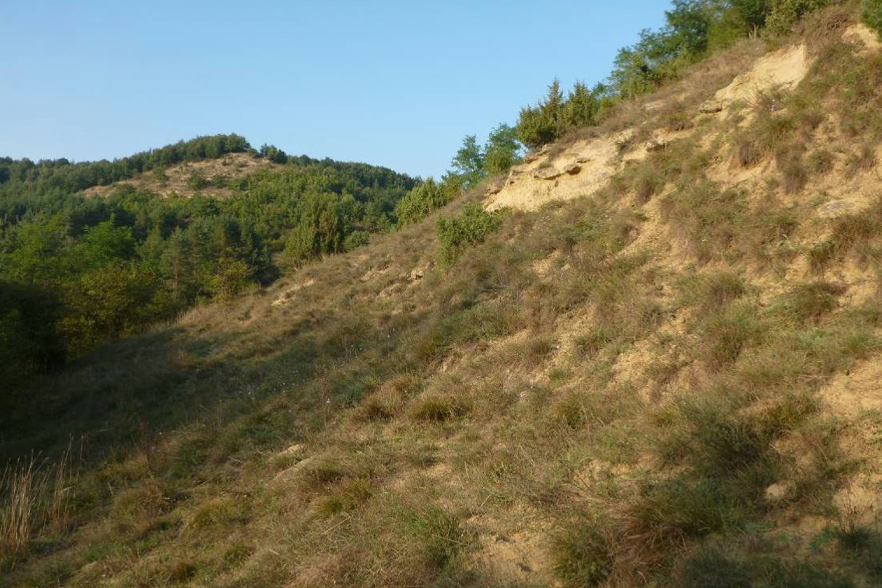 Sziklagyep és sztyepprét mozaikja a Farkas-hegy déli lejtőjén (KE-1)