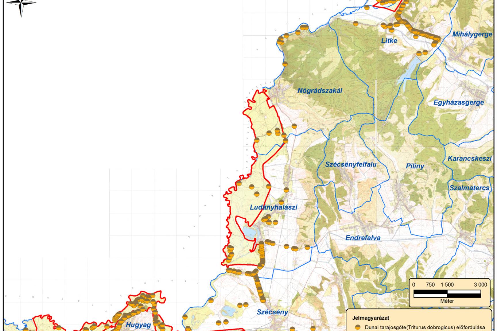 15. Közösségi jelentőségű  állatfajok térképe VIII. (dunai tarajosgőte